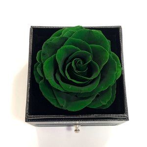 GREEN FOREST Preserved Real Rose - Will last for 3-5 years -Valentine's Day Gift